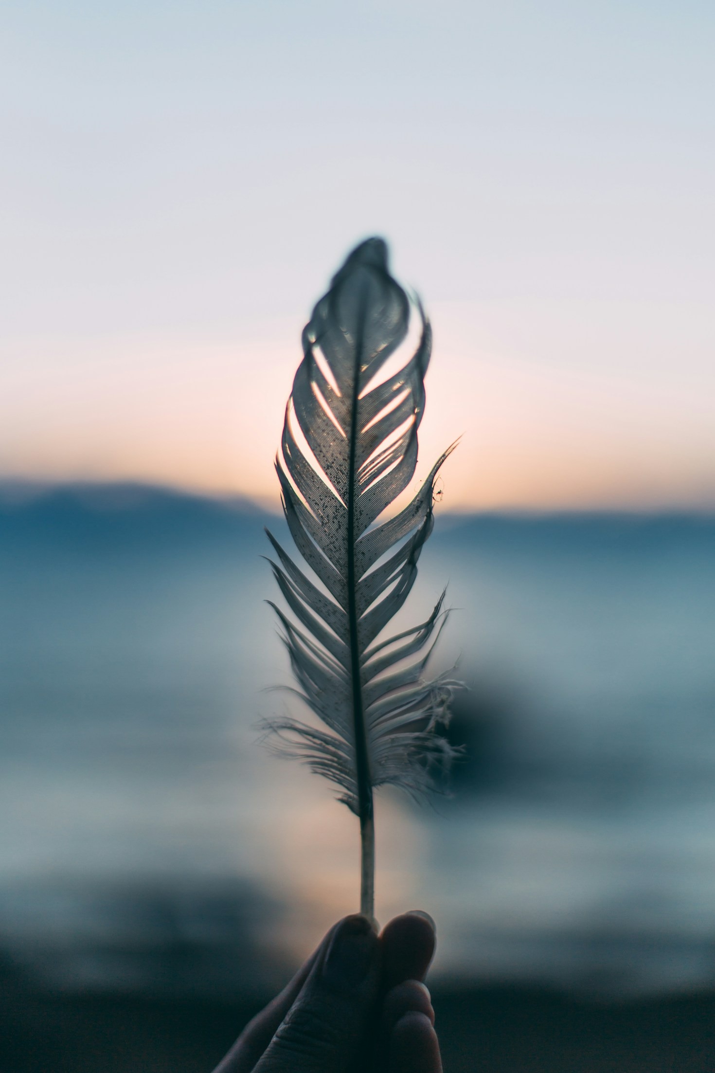 The Transformative Power of Non-Language Practices